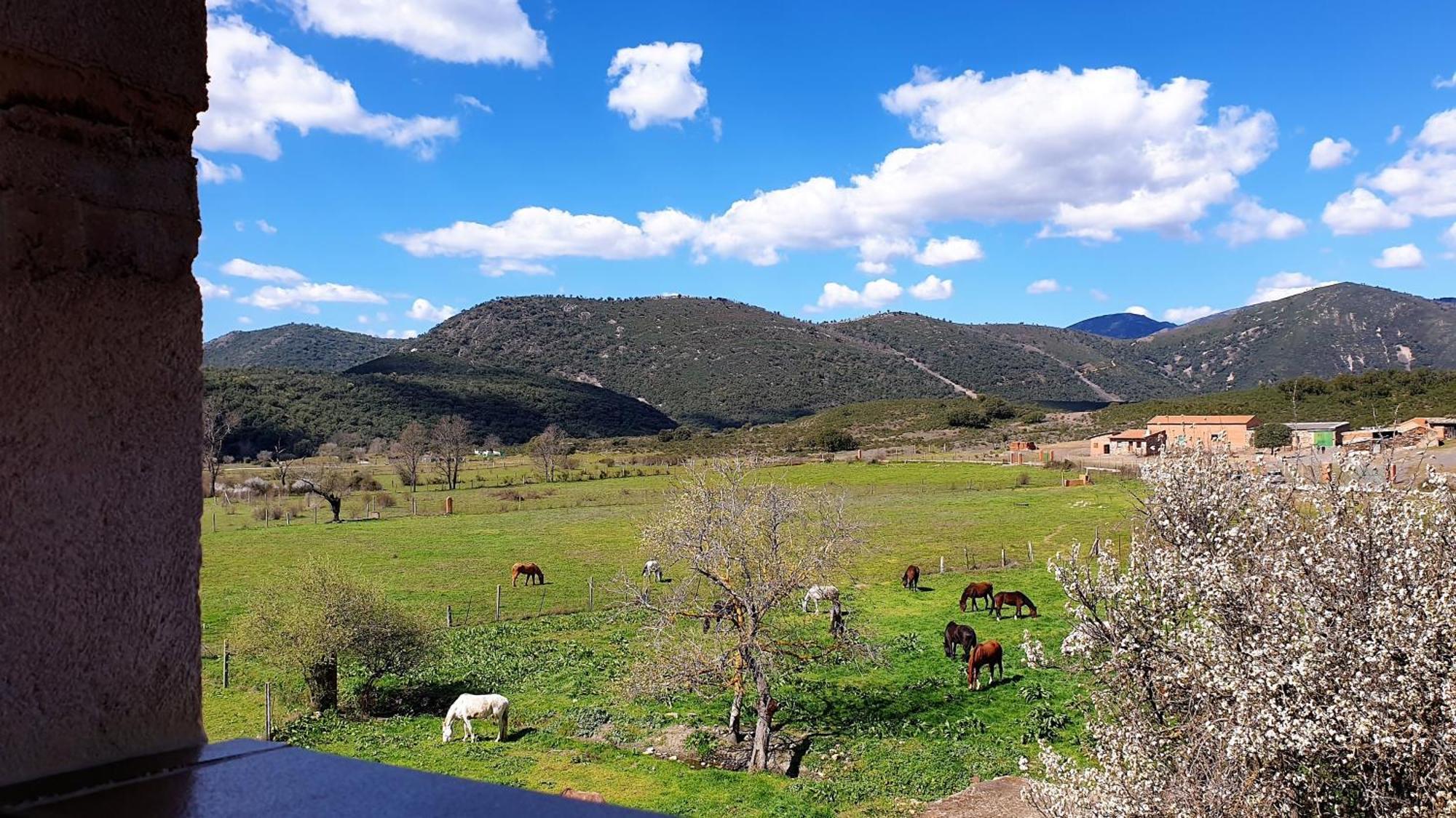 Casa Con Piscina En Parque Nacional De Cabaneros Navas de Estena Екстер'єр фото